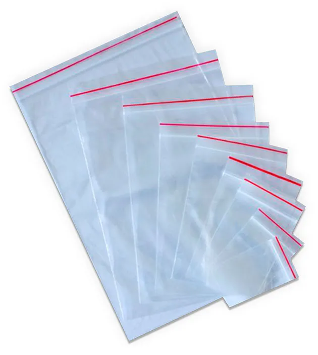 Bolsas Ziploc (varios tamaños)