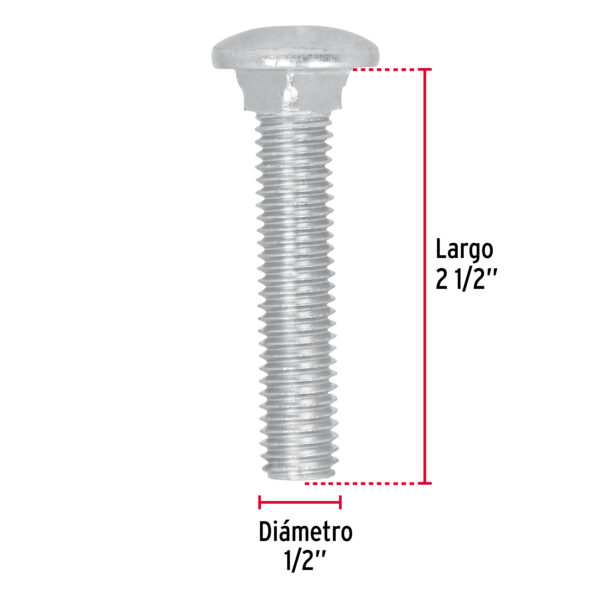 Tornillo cabeza carruaje (variedad de tamaño y grosor) - Imagen 7