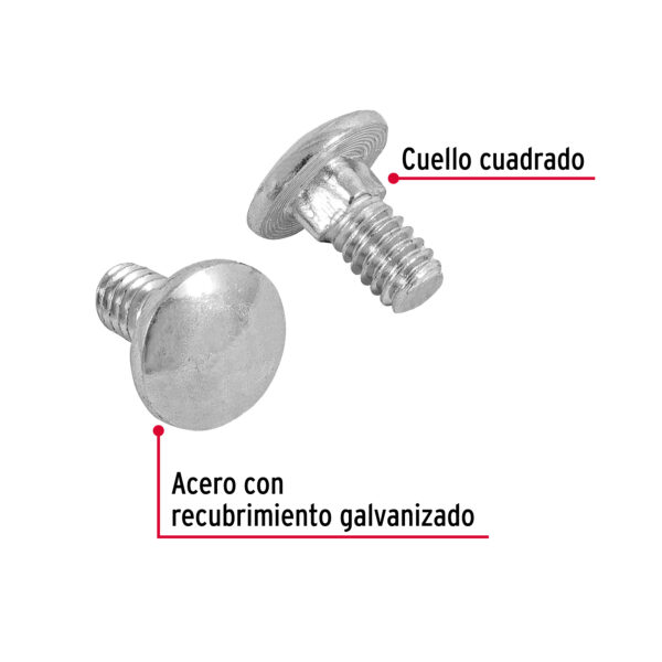 Tornillo cabeza carruaje (variedad de tamaño y grosor) - Imagen 2